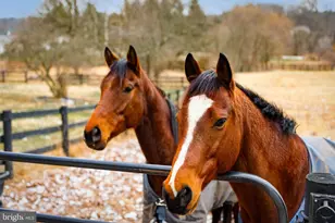 1202 W Bridge St, Spring City, PA 19475 - Photo 56