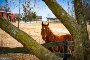 1202 W Bridge St, Spring City, PA 19475 - Photo 38