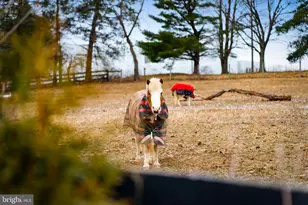 1202 W Bridge St, Spring City, PA 19475 - Photo 40