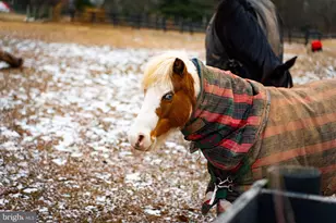 1202 W Bridge St, Spring City, PA 19475 - Photo 66
