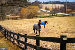 1202 W Bridge St, Spring City, PA 19475 - Photo 58