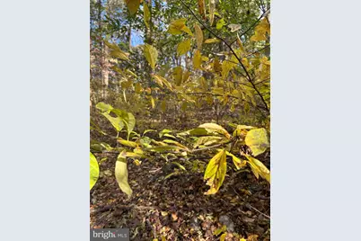 0 Bertolet School Road, Spring City, PA 19475 - Photo 16