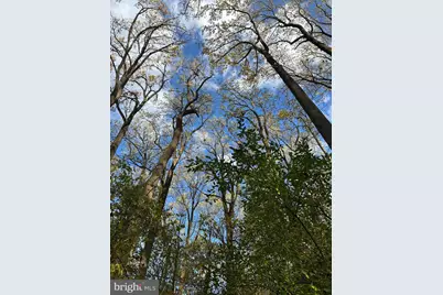 0 Bertolet School Road, Spring City, PA 19475 - Photo 2