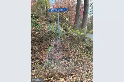 0 Bertolet School Road, Spring City, PA 19475 - Photo 6