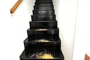 223 Walnut St, Spring City, PA 19475 - Photo 16