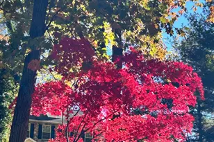 1705 Mountainview Dr, Chesterbrook, PA 19087 - Photo 18