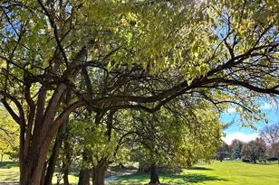 1705 Mountainview Dr, Chesterbrook, PA 19087 - Photo 20