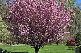 331 Ironstone Ln, Elverson, PA 19520 - Photo 66