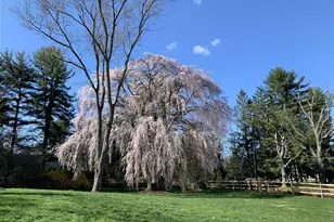 518 Newtown Rd, Berwyn, PA 19312 - Photo 80