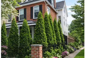 515 S Walnut St, West Chester, PA 19382 - Photo 1