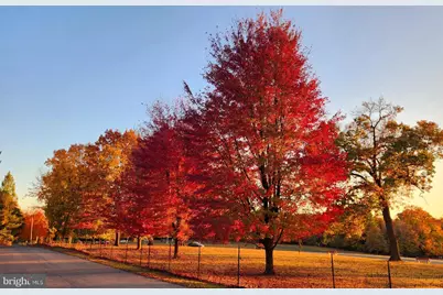 117 Wayne Avenue, Malvern, PA 19355 - Photo 32