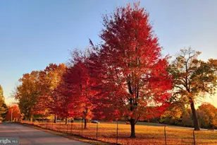 117 Wayne Ave, Malvern, PA 19355 - Photo 32