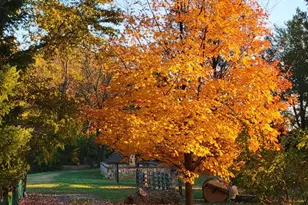 117 Wayne Ave, Malvern, PA 19355 - Photo 34