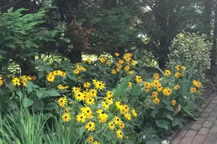 27 McCormick Way, Lincoln University, PA 19352 - Photo 52