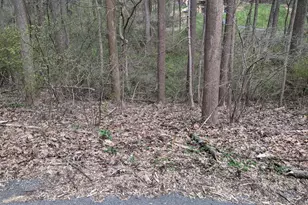 Lot 2B Yellow Springs Rd, Chester Springs, PA 19425 - Photo 24