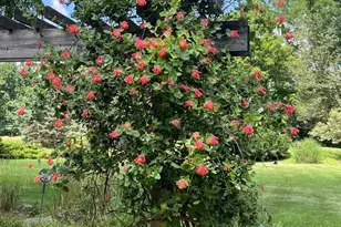 21 Lexington Mnr, Glenmoore, PA 19343 - Photo 70