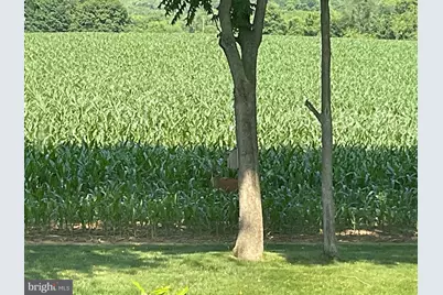 430 Dartmouth Lane, West Grove, PA 19390 - Photo 42