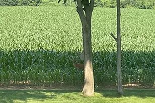 430 Dartmouth Ln, West Grove, PA 19390 - Photo 42