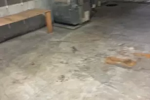 329 Heron Dr, Lincoln University, PA 19352 - Photo 44