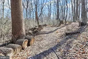 1850 Brooks Rd, West Chester, PA 19382 - Photo 54