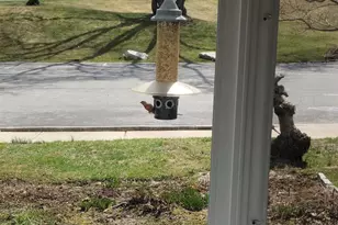 430 Carmarthen Ct, Exton, PA 19341 - Photo 6