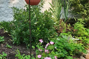 57 Grubb Rd, Malvern, PA 19355 - Photo 40