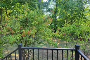 57 Grubb Rd, Malvern, PA 19355 - Photo 42