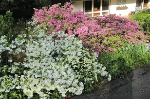 610 Arlyn Cir, Wayne, PA 19087 - Photo 36