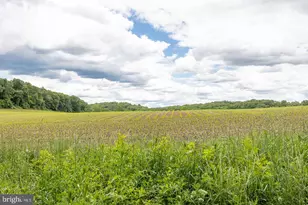 50 Knoll Rd, Coatesville, PA 19320 - Photo 42