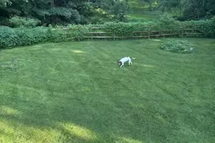 100 Evergreen Dr, Coatesville, PA 19320 - Photo 34