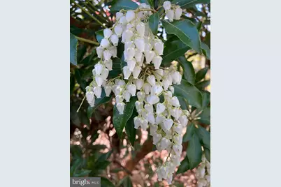 230 Jug Hollow Road, Valley Forge, PA 19481 - Photo 32