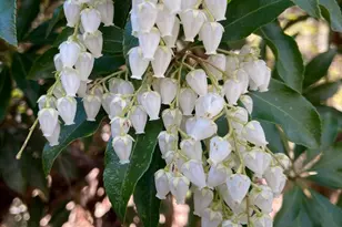 230 Jug Hollow Rd, Valley Forge, PA 19481 - Photo 32