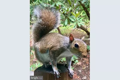 230 Jug Hollow Road, Valley Forge, PA 19481 - Photo 38