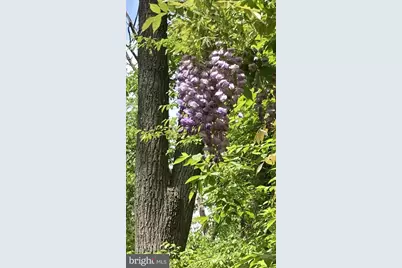 230 Jug Hollow Road, Valley Forge, PA 19481 - Photo 40