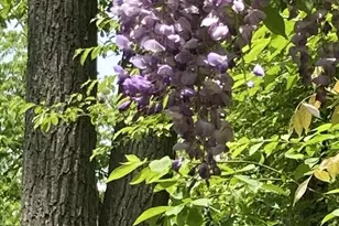 230 Jug Hollow Rd, Valley Forge, PA 19481 - Photo 40