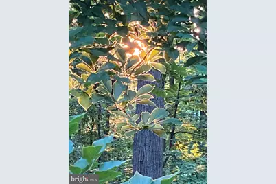 230 Jug Hollow Road, Valley Forge, PA 19481 - Photo 36