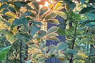 230 Jug Hollow Rd, Valley Forge, PA 19481 - Photo 36