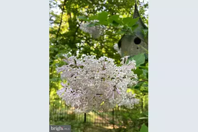 230 Jug Hollow Road, Valley Forge, PA 19481 - Photo 60