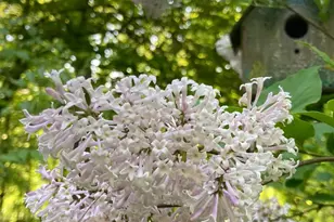 230 Jug Hollow Rd, Valley Forge, PA 19481 - Photo 60