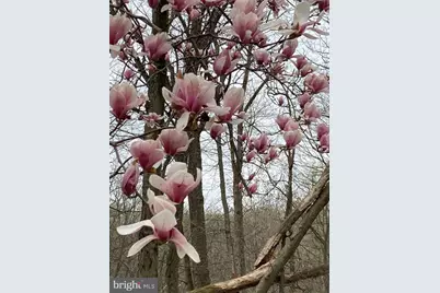 230 Jug Hollow Road, Valley Forge, PA 19481 - Photo 56