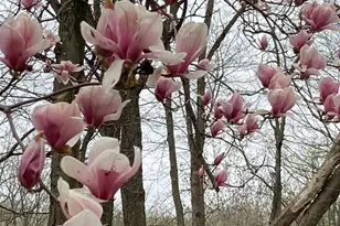 230 Jug Hollow Rd, Valley Forge, PA 19481 - Photo 56