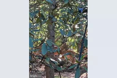 230 Jug Hollow Road, Valley Forge, PA 19481 - Photo 42