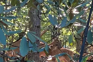 230 Jug Hollow Rd, Valley Forge, PA 19481 - Photo 42