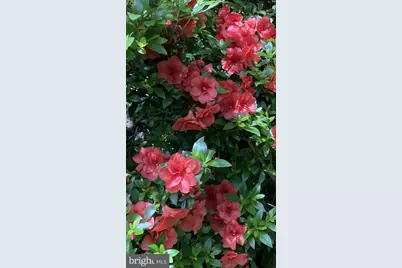 230 Jug Hollow Road, Valley Forge, PA 19481 - Photo 46