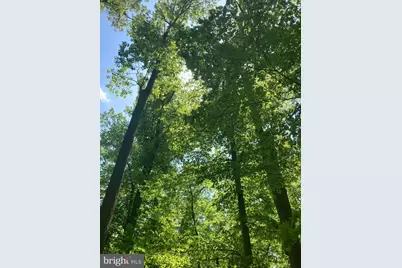 230 Jug Hollow Road, Valley Forge, PA 19481 - Photo 44