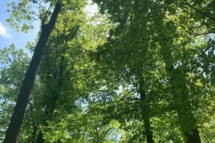 230 Jug Hollow Rd, Valley Forge, PA 19481 - Photo 44