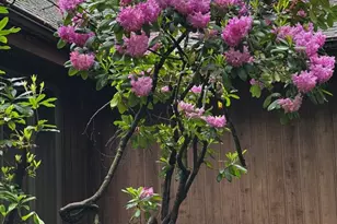 9 Adams Way, Lincoln University, PA 19352 - Photo 36