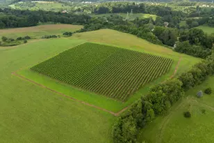 1484 W Strasburg Rd, West Chester, PA 19382 - Photo 90