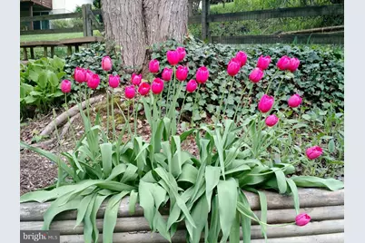 1307 Park View Lane, Downingtown, PA 19335 - Photo 32