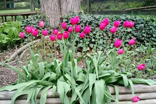 1307 Park View Ln, Downingtown, PA 19335 - Photo 32